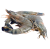 Fish-4