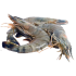 Fish-3