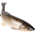 Fish-3